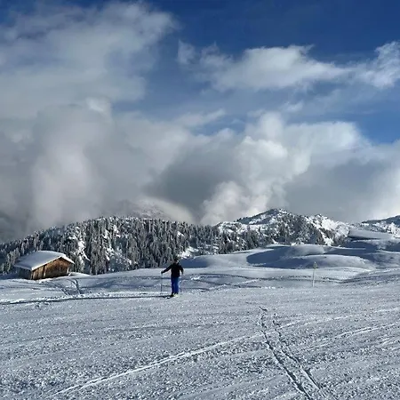 Aurelia アパート